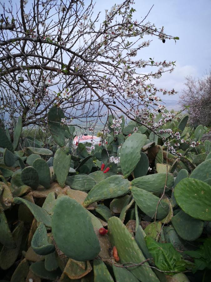 Casa Opuntia Villa Pappaygiannades Exteriör bild