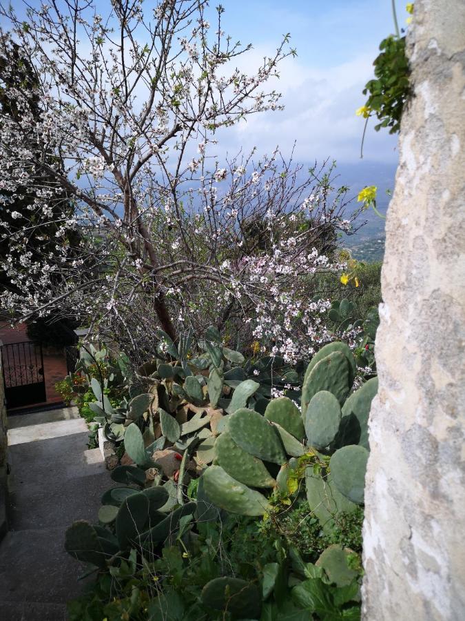 Casa Opuntia Villa Pappaygiannades Exteriör bild