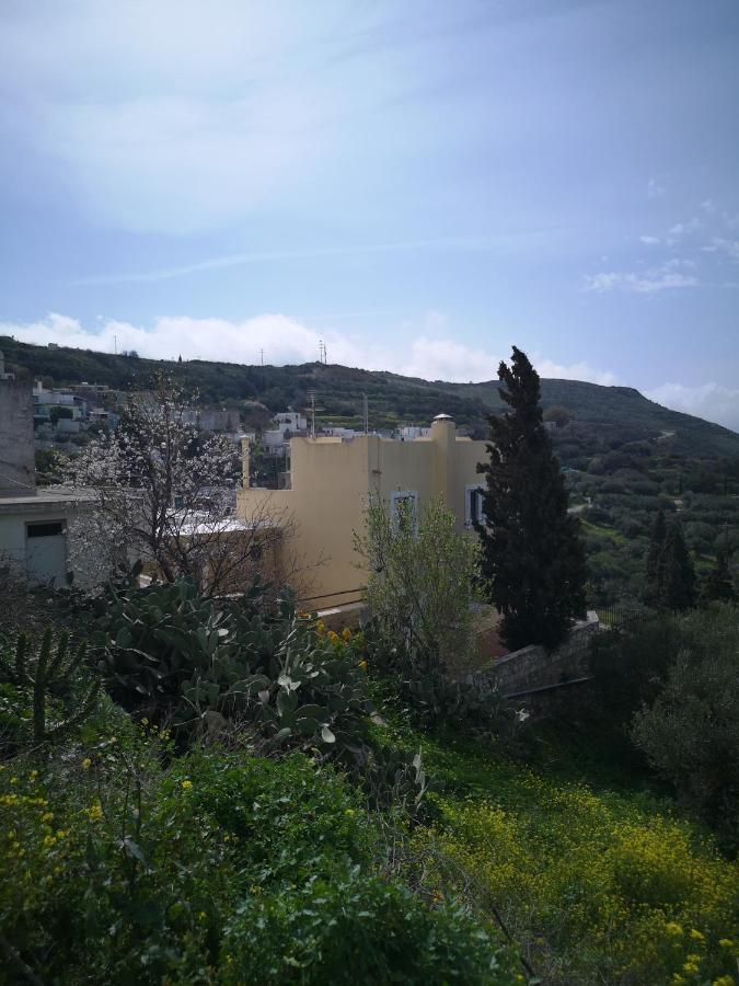 Casa Opuntia Villa Pappaygiannades Exteriör bild